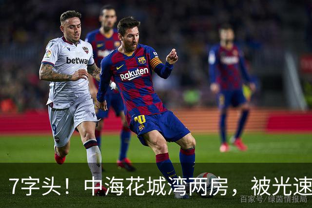 7字头!中海花城湾两房,被光速捡漏